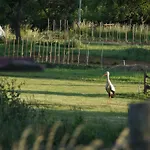L'horizon Du Vignoble *