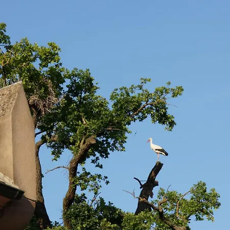 L'horizon Du Vignoble *