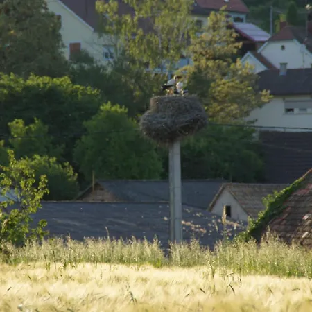 L'horizon Du Vignoble Apartment Wangen
