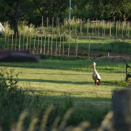 L'horizon Du Vignoble *