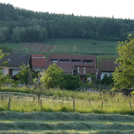 L'horizon Du Vignoble アパート