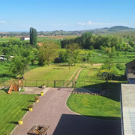 L'horizon Du Vignoble Appartement Wangen