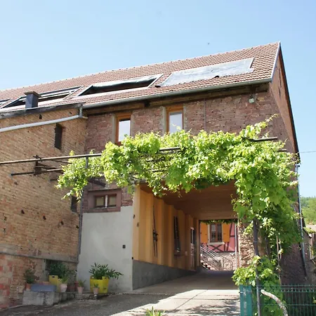 Apartment L'horizon Du Vignoble Wangen